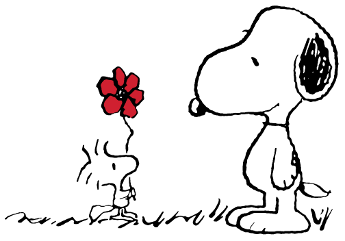 Peanuts - Animal Adventure